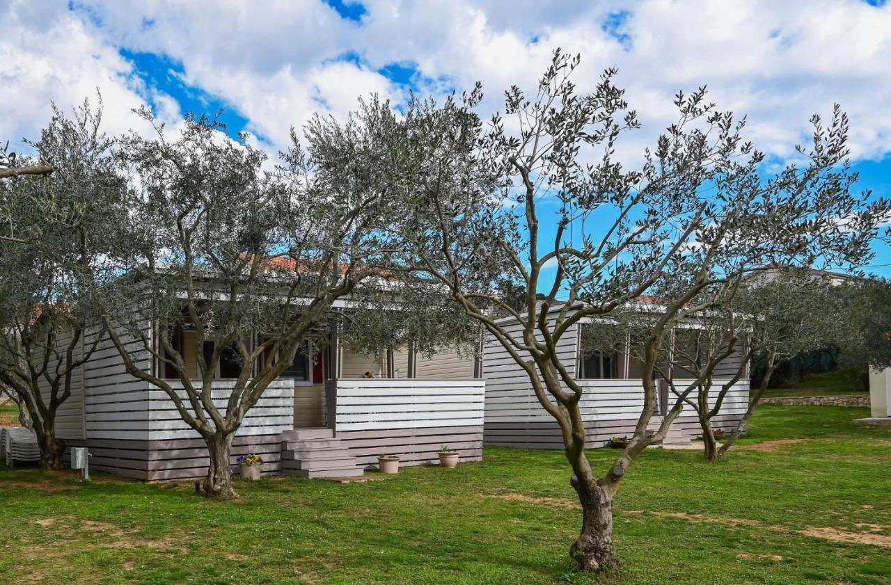 Apartament Miluska