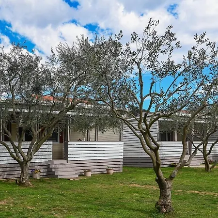 Apartmani Miluska Sveti Filip i Jakov Extérieur photo